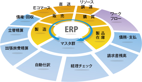 ERP_4.jpg